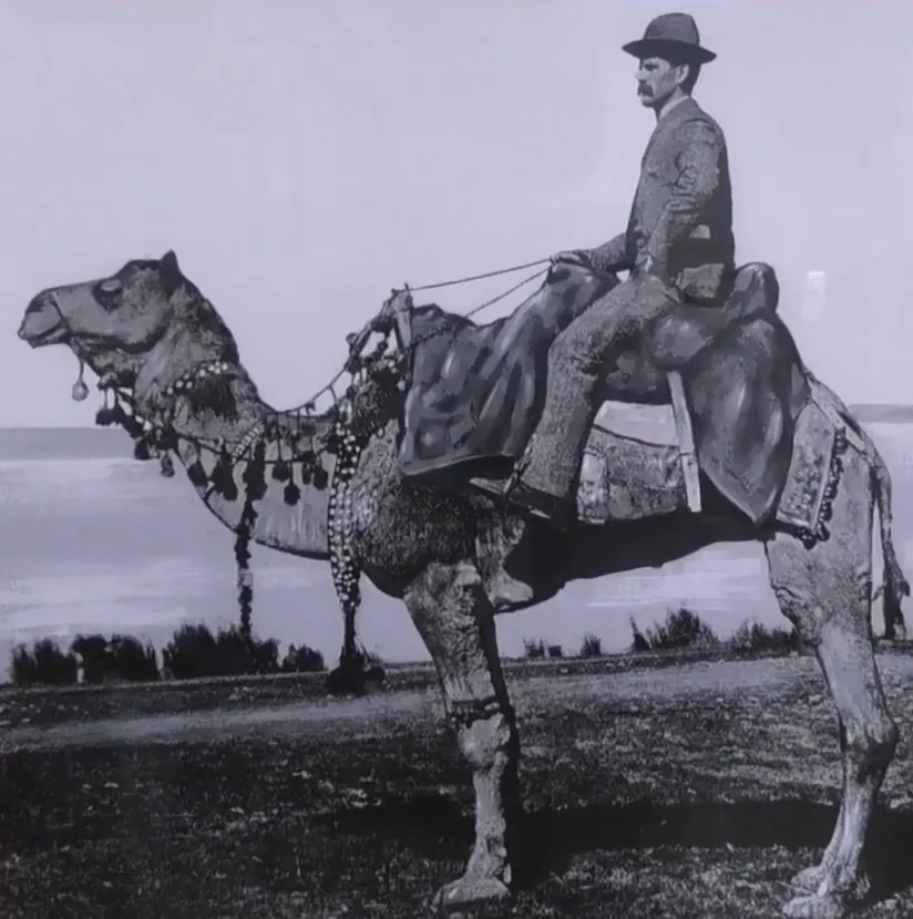 Alfred Canning on a camel during Western Australian survey work